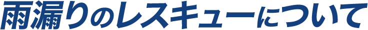 雨漏りのレスキューについて
