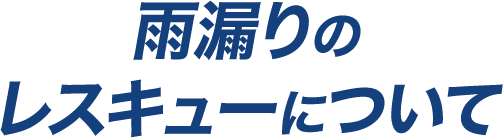 雨漏りのレスキューについて