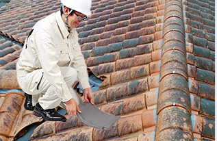 現地調査イメージ